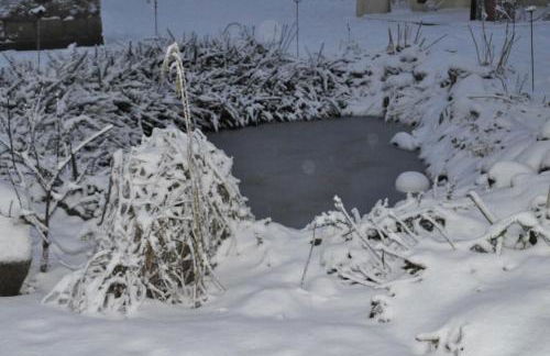 FEWO Geisbergblick - Foto 19