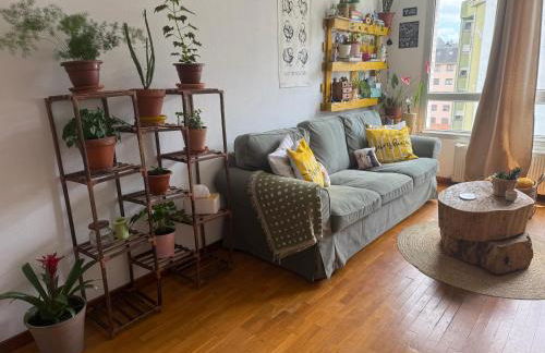 Dulce y sereno piso en Oviedo - Foto 1