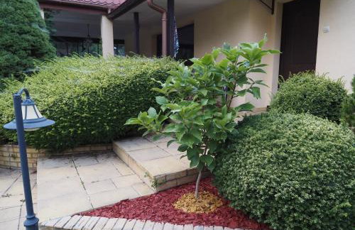 Domek Olmonty - Foto 13