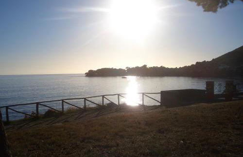 Micheletto - Foto 17