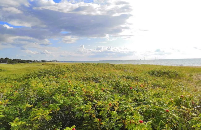 8 Person Holiday Home in Slagelse-by Traum - Foto 22