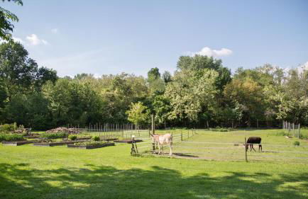 La Collina delle Mignole - Foto 16