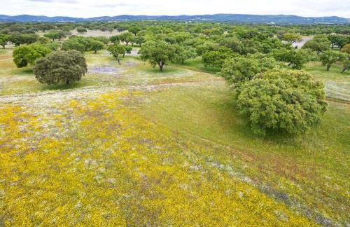 Aposento Real Villas - Foto 55