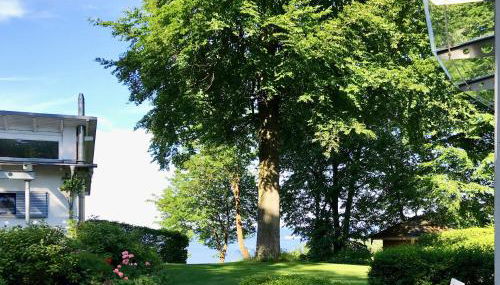 Meerblick - Villa Achterkerke - Foto 4, Garden