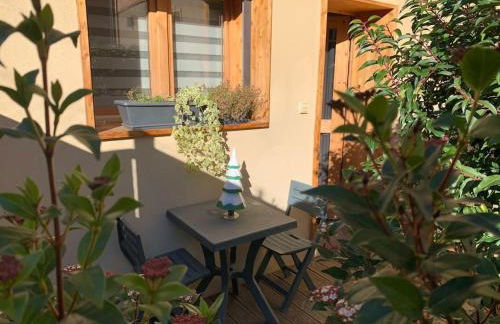 Chaleureux studio plein sud en Tarentaise ! - Foto 20