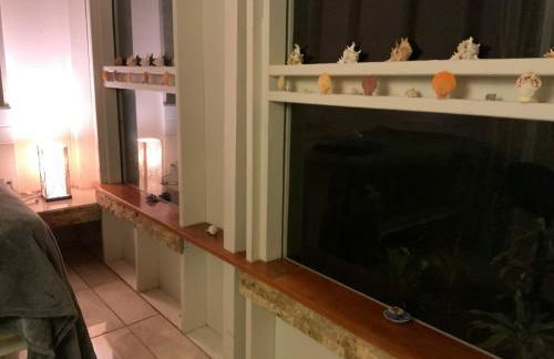 Majestic Banya tree cabin - Foto 7