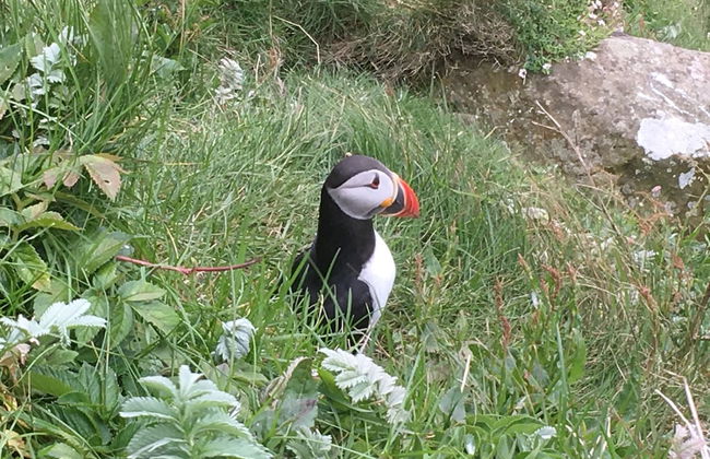 Seabank House - Foto 10