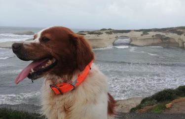 Casa Vacanze “Dream House” - Foto 11