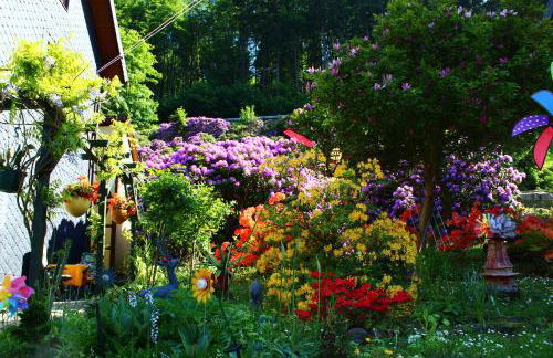 Ferienwohnung Baacke - Foto 17