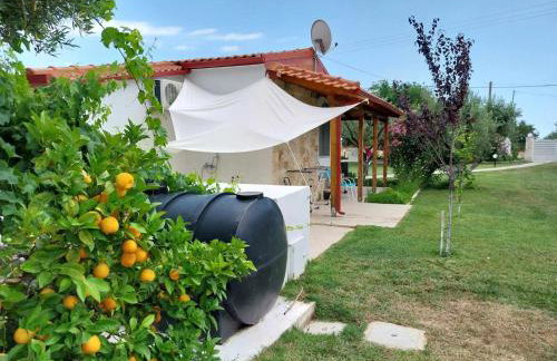 Bill & Eva's precious jewel - Photo 31