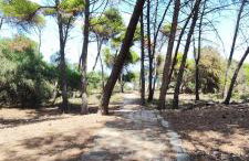 OASIS ESCAPE - Foto 18