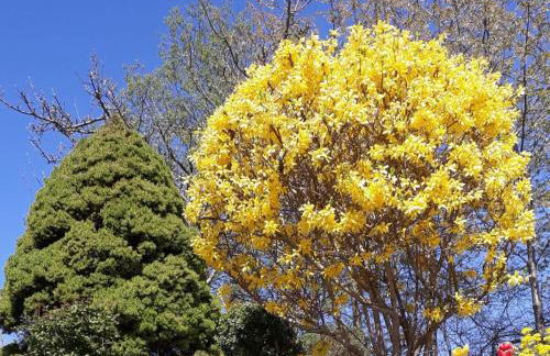 Family- friendly apartment in bavarian forest - Foto 28