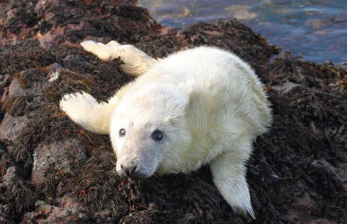 The Old School - Foto 22