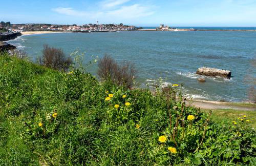 Appartement Urrugne - Foto 19