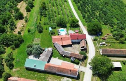 Kuca za odmor Sljivik Stari by Villas Guide - Photo 14