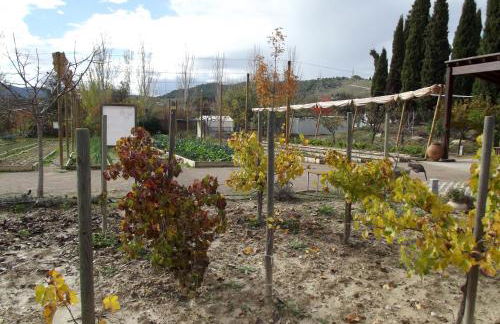 Centro de Agroecologia y Medio Ambiente de Murcia - Foto 17
