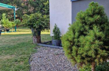 Domek Adam - Jacuzzi dodatkowo płatne - Foto 40