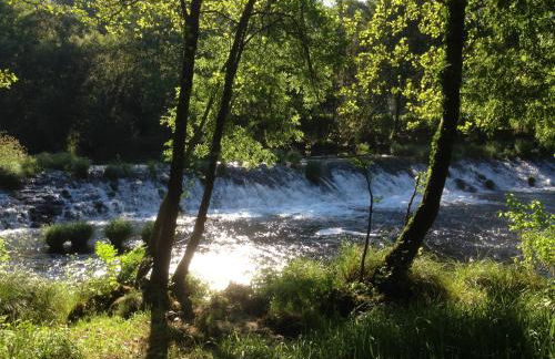 Casa do Avô - Foto 44