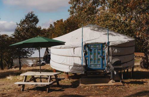 Cosy yurt at a nature retreat in Sequoia Forest - Foto 1