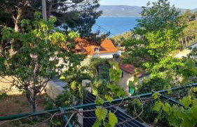 Vila nel verde - Foto 4