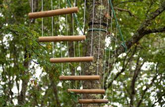 Casa da Feira - Foto 65