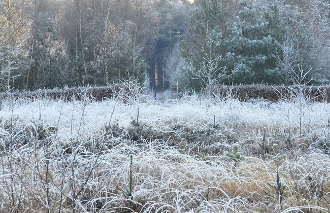 Shed 57b in an old Flour Mill in Haulerwijk - Foto 37