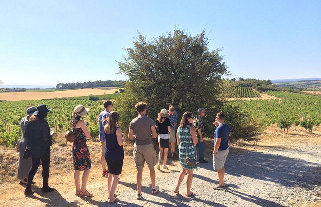 Cité de Carcassonne und private Weinprobe von Toulouse - Foto 12