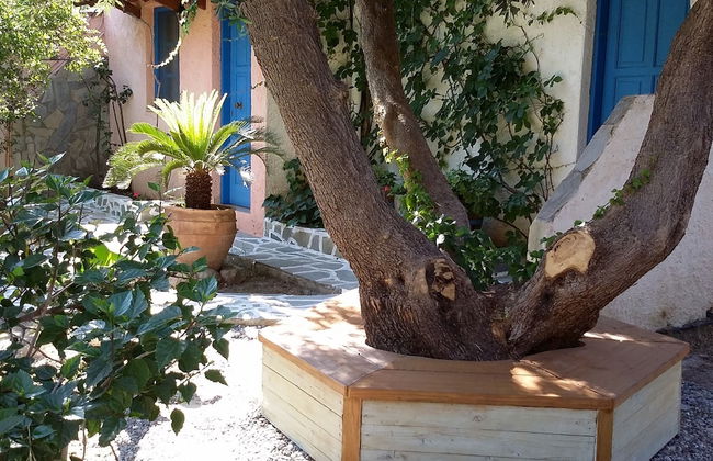 Exclusive Cottages are in S West Crete in a Quiet Olive Grove Near the sea - Foto 17