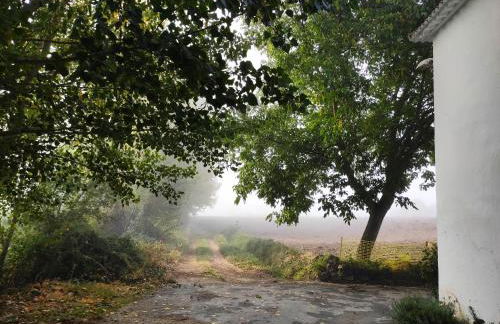 Complejo Apartamentos Rurales Molino de Abajo - Foto 39