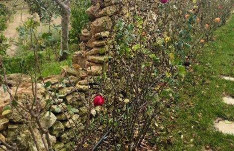 Villino Odaldo - Foto 47