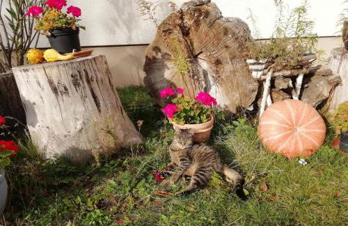 Ferienhof Schwäbe - Foto 16