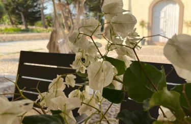 La Bouganville - Foto 80