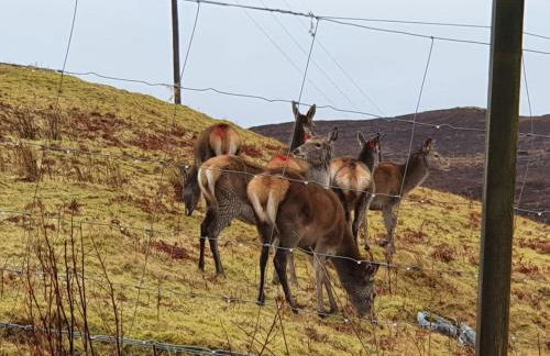 Stags View Holiday Home - Foto 17