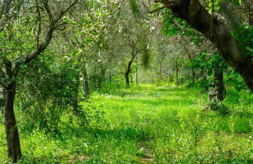 Il Nido di Erin - Photo 11