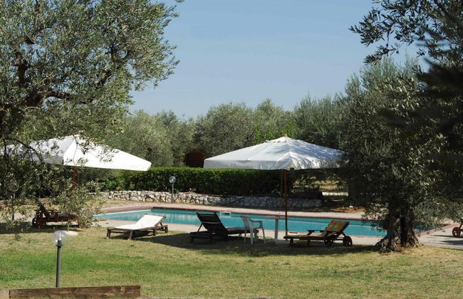 Dante Pino in Tocco da Casauria - Foto 2