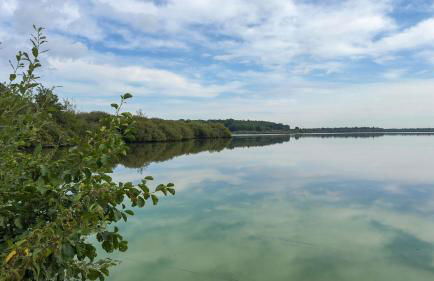 See-Oase-Bad-Bederkesa - Foto 18