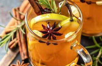 La Salamandre de l Olivier - Le Magnolia - Foto 31