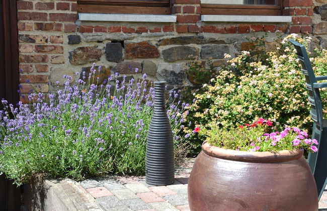 Terrace Apartment, Trois-ponts - Foto 23