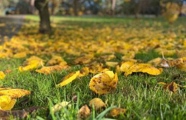 House in the Woods - Foto 41