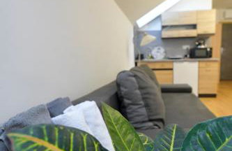 Apartamenty Tilia Laskowa - Zator - Foto 32