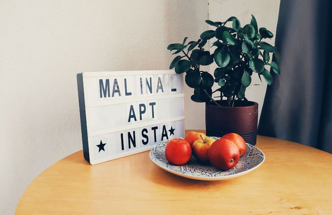 MalinaApt Bohemian Loft - Foto 22