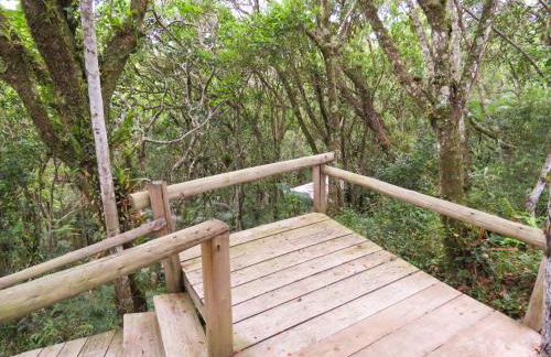 Pousada Águas de Ibiraquera Suite Master - Foto 27