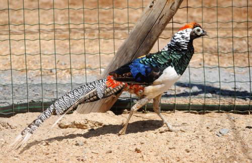 Monte Calmaria by Estilo Lusitano, with private pool and Jacuzzi - Foto 28