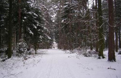 Holiday Home Nur-Dach-Ferienhaus für vier Personen by Interhome - Foto 19
