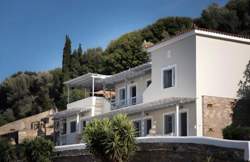 Villa Alisachni Andros - Foto 3