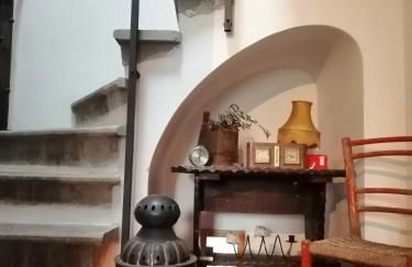 Az. Agr. IL PARADISO di Beatrice Bondielli - Foto 23