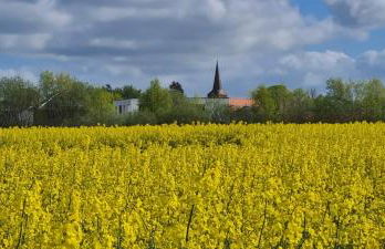 Kranichstube - Photo 38