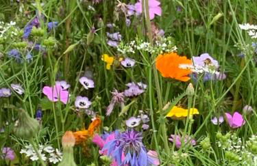 Ferienhaus bei Lauingen, mit Sauna und Gartenlounge - Foto 74