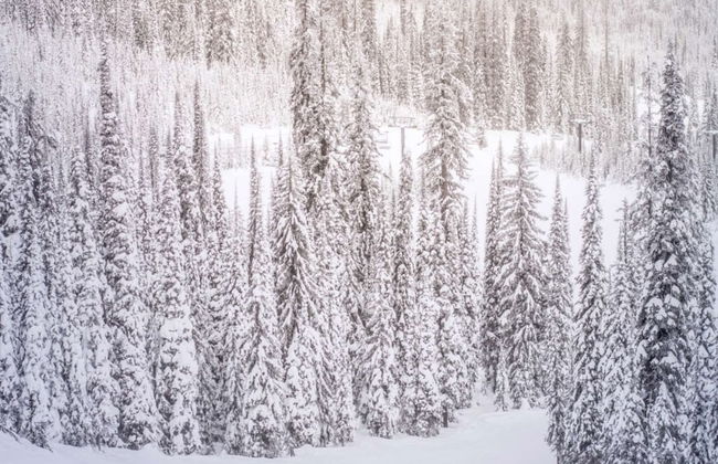 Hayden Lodge by iTrip Aspen Snowmass - Foto 44