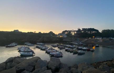 Maison jardin bord de mer Bretagne authentique - Foto 46